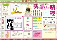 新濠江赌经A